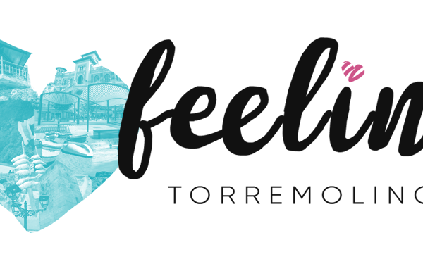 logo-feeling